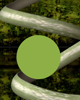 Manifold / Manuscript. Project thumbnail.